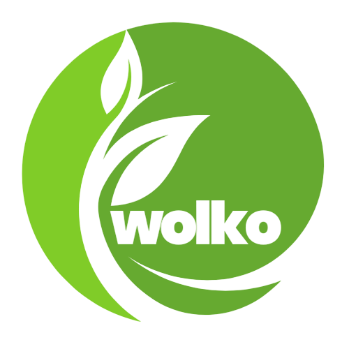 logo wolko-Photoroom